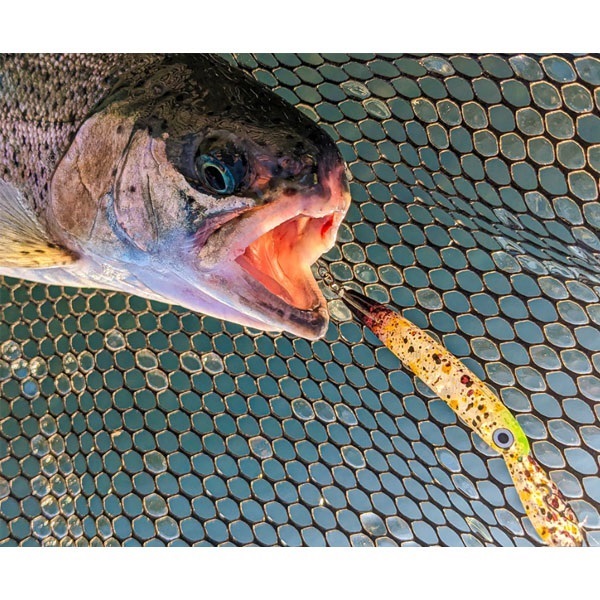 ZAGGER　50　F1－R（tailwalk　limited　color）